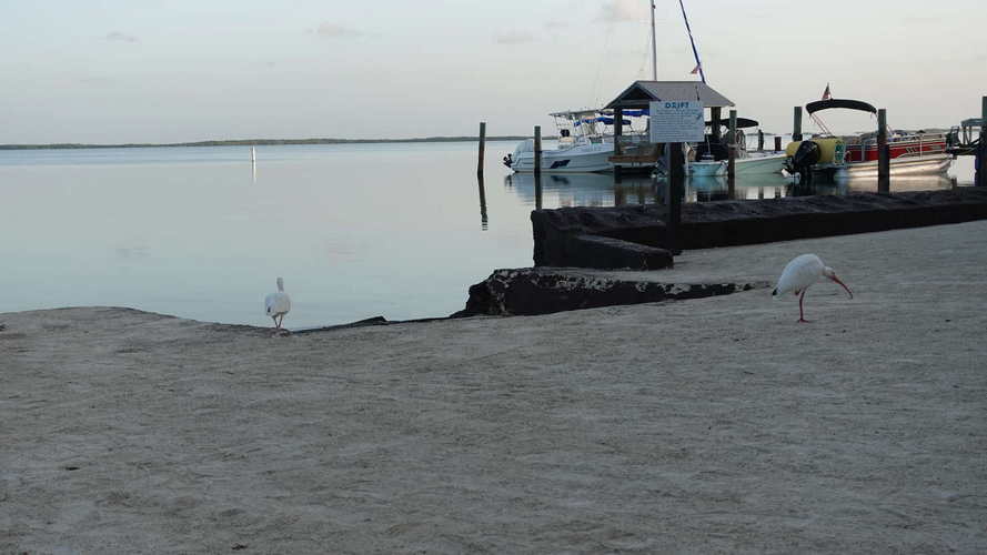 MIA_2023-08-11 07-19-53_RX_05833